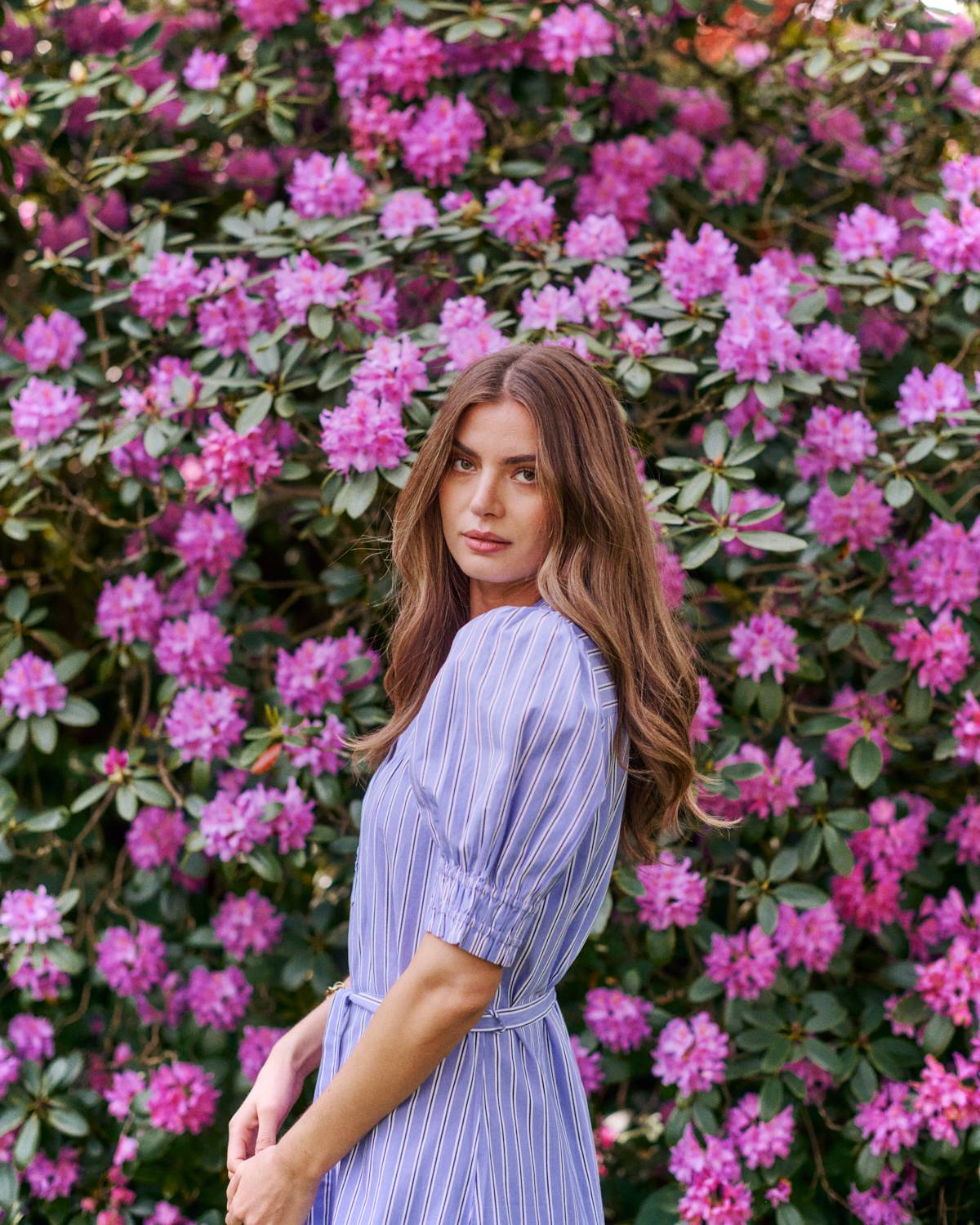 Wen - 4030 Hydrangea