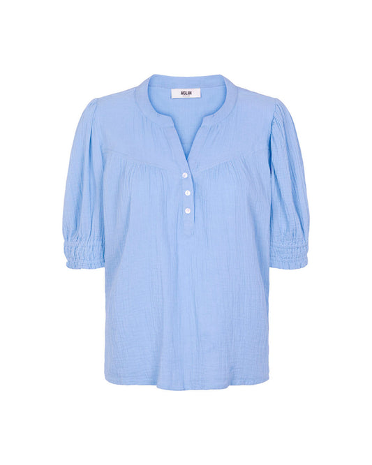 Owen - 4030 Hydrangea