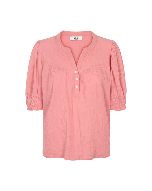 Owen - 1617 Mauveglow